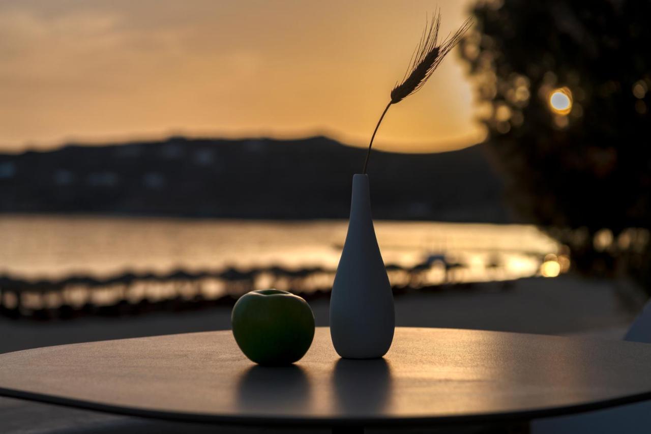Elia Mykonos Resort Esterno foto